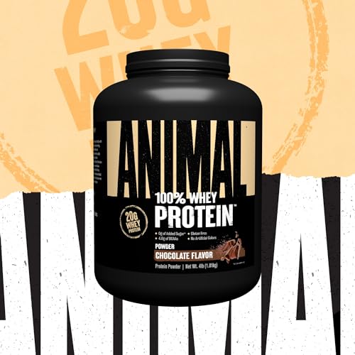 Animal 100% Whey Protein Powder – Whey Blend for Pre- or Post-Workout, Recovery Animal buy supplements canada