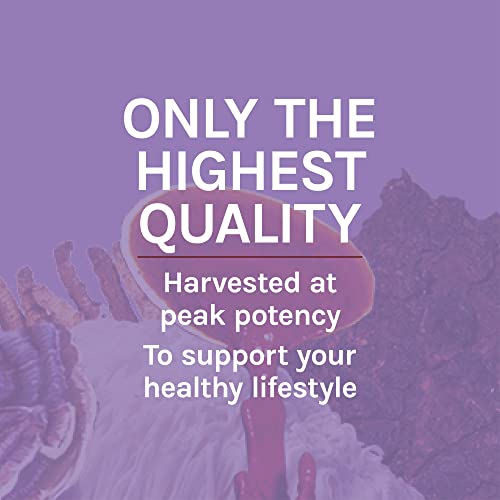 Host Defense, Lion's Mane Capsules, Promotes Mental Clarity, Focus and Memory Host Defense buy supplements canada