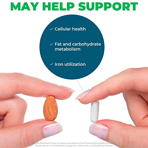 Seeking Health Molybdenum 500, Molybdenum Glycinate Chelate Supplement Seeking Health buy supplements canada