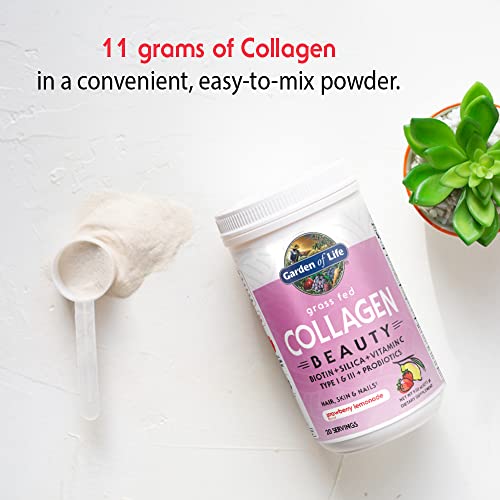 Garden of Life Grass Fed Collagen Beauty - Strawberry Lemonade, 20 Servings - Collagen Garden of Life buy supplements canada