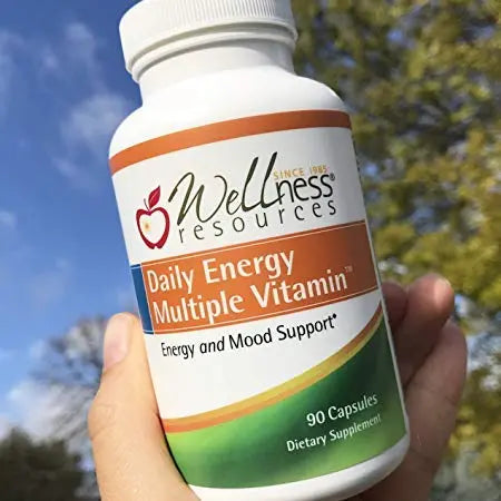 Wellness Resources Daily Energy Multiple Vitamin - 90 Capsules - Methylated Daily MTHFR Multivitamin Without Iron Wellness Resources buy supplements canada