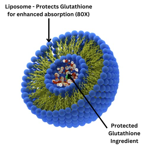 Research Labs Liposomal Glutathione Supplement w/Gluta-IV™, 100x Enhanced Absorption Research Labs buy supplements canada