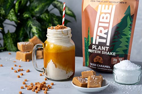TRIBE Vegan Protein Powder - Salted Caramel - Pea and Rice Protein Blend - Vegan TRIBE buy supplements canada