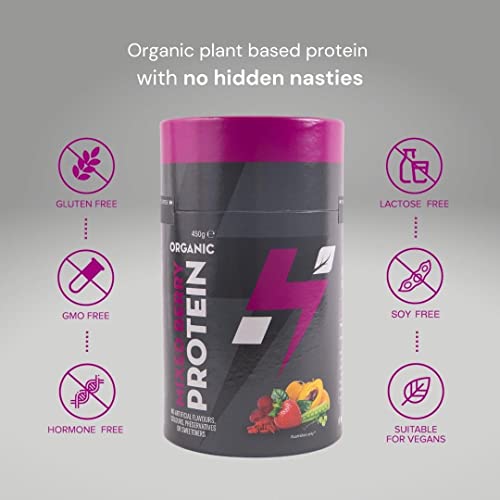 Hylife Nutrition - Organic Protein Powder - Mixed Berry Vegan Protein Powder (450g - 15 Servings) Hylife Nutrition buy supplements canada