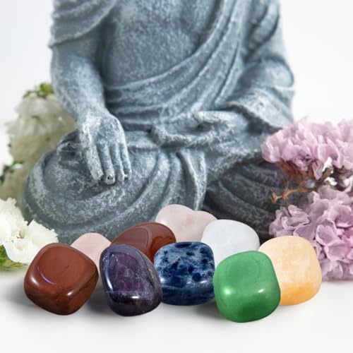 WVIOUOPU Healing Crystals and Chakra Stones Set - 13 Pcs Real Raw Healing Chakra Stones WVIOUOPU buy supplements canada