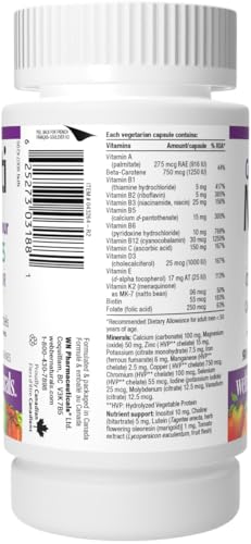 Webber Naturals Men's Most Complete Multi, 90 Vegetarian Capsules Webber Naturals buy supplements canada