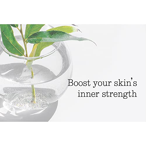 Pyunkang Yul Low pH Feminine Wash with Green Tea, Cica, Moisturizing for Women Vaginal Health Pyunkang Yul buy supplements canada