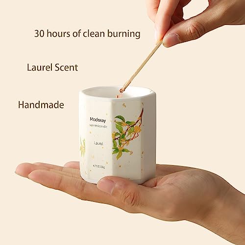 Modoray Scented Candle, Candles for Home Scented, Aromatherapy Candle，Long Lasting Natural Modoray buy supplements canada