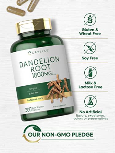 Carlyle Dandelion Root Capsules 1800mg | 300 Count | Non-GMO, Gluten Free Carlyle buy supplements canada
