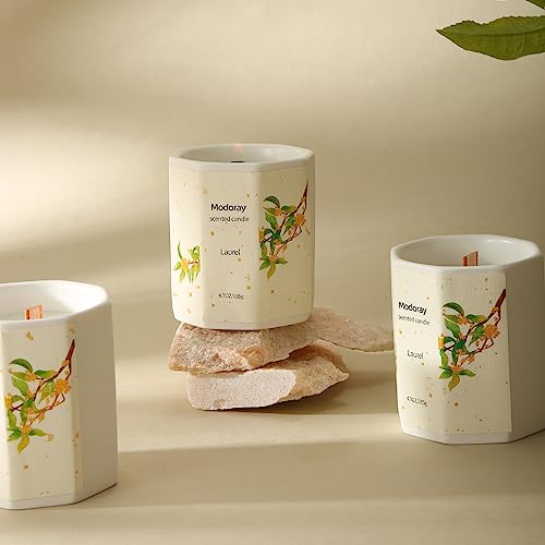 Modoray Scented Candle, Candles for Home Scented, Aromatherapy Candle，Long Lasting Natural Modoray buy supplements canada