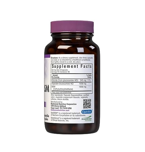 BlueBonnet Vegetarian Glucosamine Plus MSM Supplement, 120 Count ('743715011151) BlueBonnet buy supplements canada