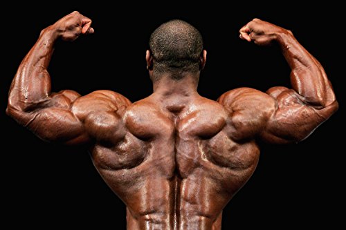 Muscle Pump pre Workout - Nitric Oxide 2400mg Muscle Pump, Extreme Strength Health Solution Prime buy supplements canada