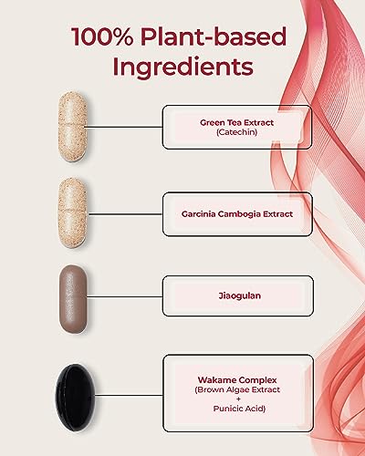 FOODOLOGY Burningology D-Day (Pack of 1, 10 Days) - Jiaogulan, Wakame Complex, Green Tea Extract FOODOLOGY buy supplements canada