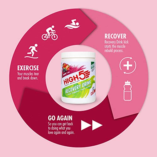 HIGH5 Recovery Drink | Whey Protein Isolate | Promotes Recovery | (Berry, 450g) HIGH5 buy supplements canada