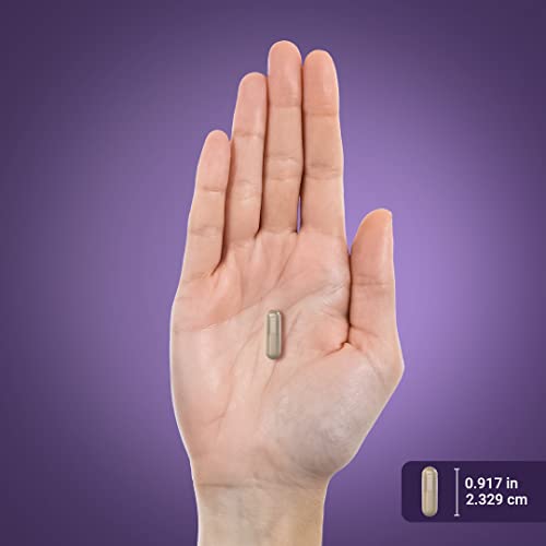 Piping Rock Detox Cleanse Capsules | 240 Pills | Herbal Complex | Lean Formula Piping Rock buy supplements canada