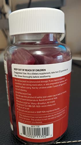 Apple Cider Vinegar Gummies 1,000mg Plus Ginger, ACV with The Mother, Detox Cleanse Viteey buy supplements canada