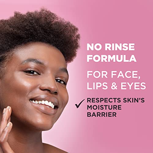 Garnier SkinActive Micellar Water for All Skin Types, Facial Cleanser & Makeup Remover Garnier buy supplements canada