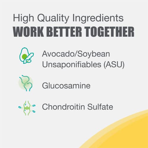 Nutramax Laboratories Dasuquin with MSM Joint Health Supplement for Large Dogs Nutramax Laboratories buy supplements canada
