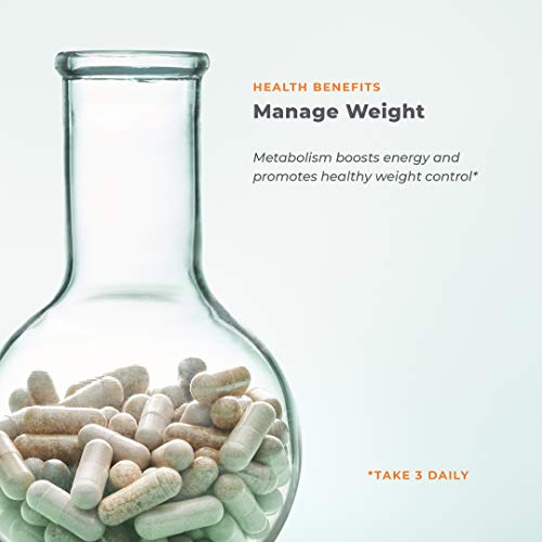 Metabolism - Weight Control Support & Energy Boosting Supplement - Natural Appetite LifeSeasons buy supplements canada