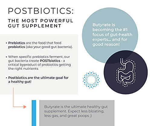 BodyBio Butyrate with Calcium & Magnesium - Supports Healthy Digestion, Gut & Microbiome BodyBio buy supplements canada