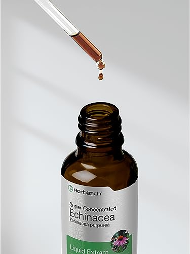 Echinacea Drops Liquid Extract | 2 fl oz | Super Concentrated Tincture | Alcohol Free Horbäach buy supplements canada