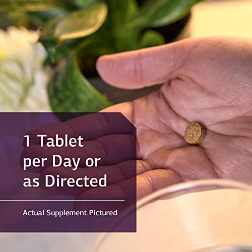 Standard Process Iodomere - Whole Food Metabolism and Thyroid Support with Echinacea Standard Process Inc. buy supplements canada