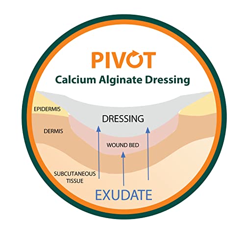 Pivot Calcium Alginate Wound Dressing – All-Natural First Aid | 4x5 Dressin LMP LINKS MEDICAL PRODUCTS INC. buy supplements canada