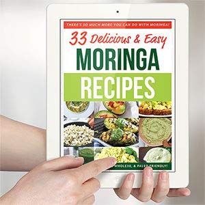 PURA VIDA MORINGA Moringa Powder Organic Single Origin - Premium 100% Leaf Powder PURA VIDA MORINGA buy supplements canada