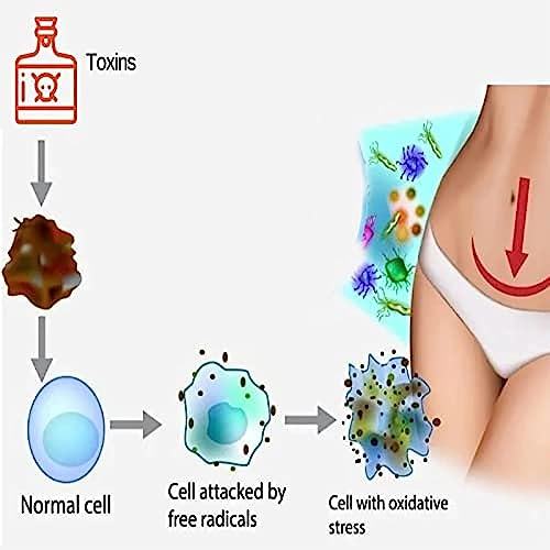 FemiPure Anti-Itch Detox Slimming Capsule Suppository,AnnieCare Instant Anti-Itch Detox tsoneoo buy supplements canada