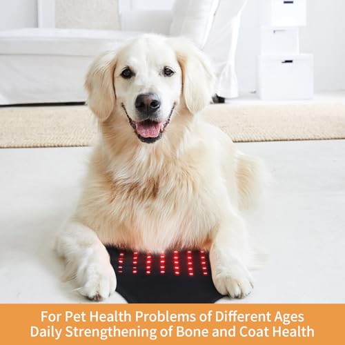 SUNNYOUNG Red Light Therapy Belt, Infrared Light Therapy Wrap Muscle Relaxing Belt with 120 LED Lights sunnyoung buy supplements canada