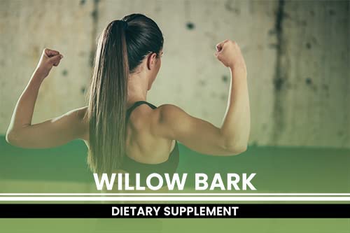 PURE ORIGINAL INGREDIENTS Willow Bark Extract (365 Capsules) No Magnesium Or Rice Fillers, Always Pure, Lab Verified PURE ORIGINAL INGREDIENTS buy supplements canada