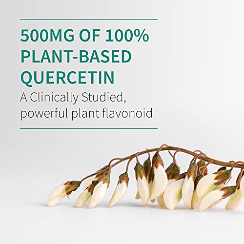 Garden of Life Quercetin Once Daily Immune System Support Garden of Life buy supplements canada