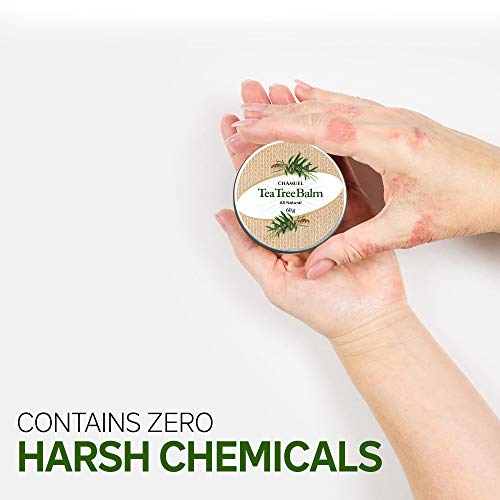 TEA TREE OIL BALM -100% All Natural | Great Cream for Soothing Irritations like Eczema Chamuel buy supplements canada