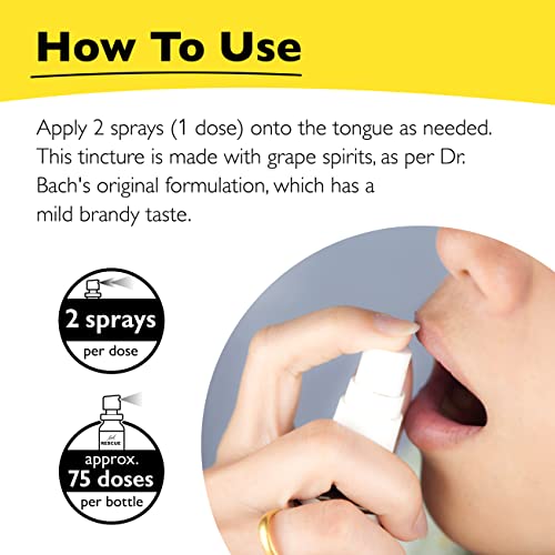 Day & Night Bundle, Bach RESCUE REMEDY Spray, Natural Stress Relief [and] RESCUE SLEEP Spray RESCUE buy supplements canada