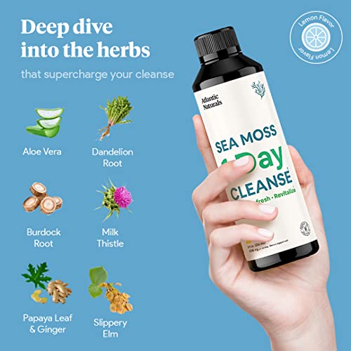 Sea Moss 1 Day Cleanse - Full Body Detox to support bowel movements, Kidney Health Atlantic Naturals buy supplements canada