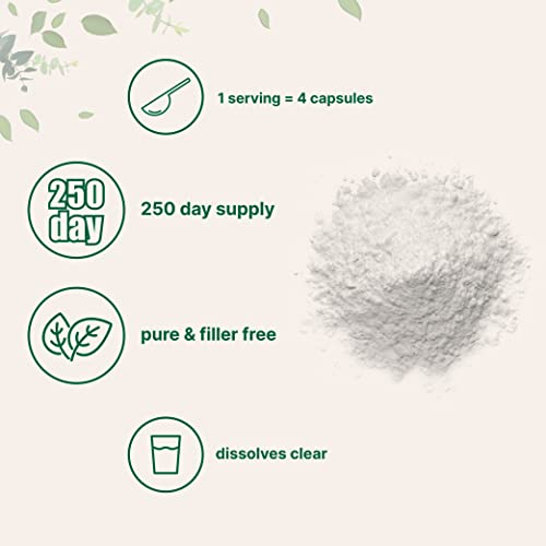 Pure L Serine Powder, 500 Grams (250 Day Supply), Filler Free, Supports Production Micro Ingredients buy supplements canada