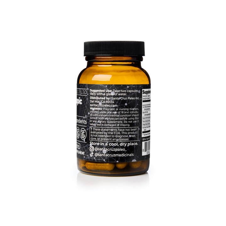 Santa Cruz Paleo Nootropic Capsules – Lions Mane, Alpha GPC, Panax Ginseng & Ginkgo Biloba for Focus, Memory, Mental Clarity & Energy – Keto, Paleo, Gluten Free Brain Supplement, 60 Caps Santa Cruz Paleo buy supplements canada