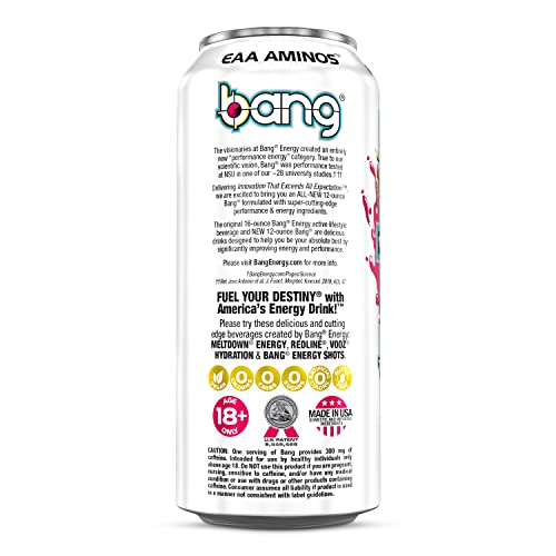 Bang Energy Power Punch, Sugar-Free Energy Drink, 16-Ounce (Pack of 12) BANG buy supplements canada