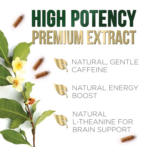 Nature's Green Tea Extract Pills 98% Standardized EGCG 1000mg - 3X Strength for Natural Nature's Nutrition buy supplements canada