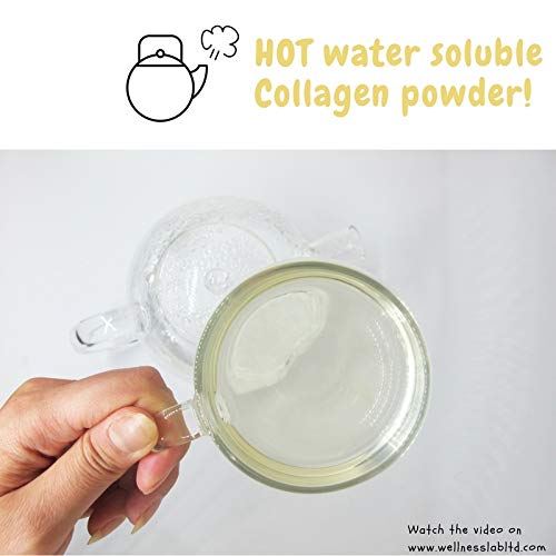 Cleanest Marine Collagen Peptides | Wellness Lab 454g | Type I,III | Highest Bioavailability Hydrolysed Protein Wellness Lab buy supplements canada