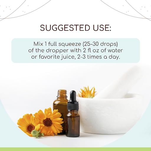 Blue Vervain B120 Alcohol-Free Herbal Extract Tincture, Concentrated Liquid Drops Natural Blue Vervain HerbEra buy supplements canada
