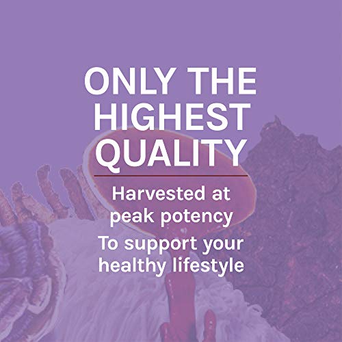 Host Defense, Lion's Mane Capsules, Promotes Mental Clarity, Focus and Memory Host Defense buy supplements canada