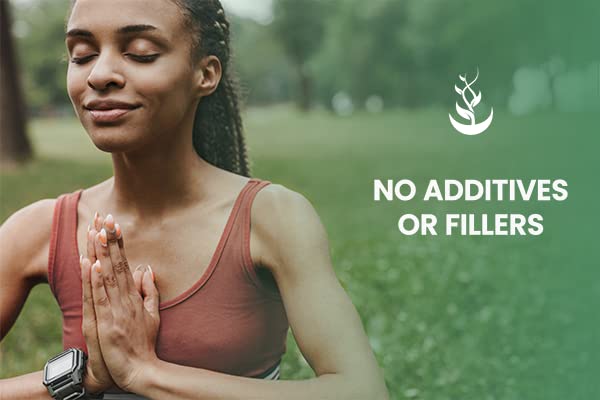 PURE ORIGINAL INGREDIENTS Yerba Mate (365 Capsules), No Magnesium Or Rice Fillers PURE ORIGINAL INGREDIENTS buy supplements canada