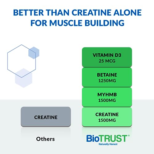BioTrust Ageless Muscle Builder - Micronized Creatine Monohydrate Powder with HMB BioTrust buy supplements canada