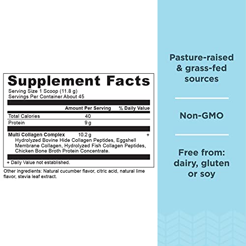 Ancient Nutrition Collagen Powder Protein, Multi Collagen Protein, Cucumber Lime, Hydroly Ancient Nutrition buy supplements canada