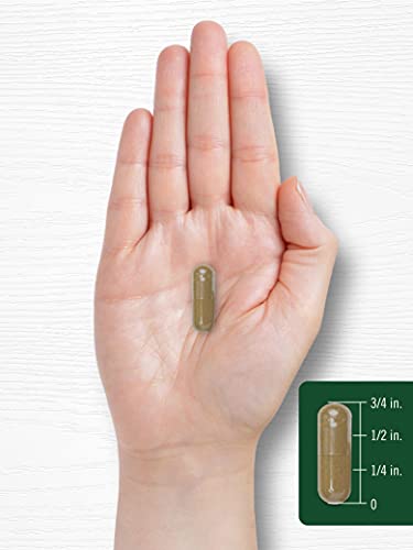 Carlyle Dandelion Root Capsules 1800mg | 300 Count | Non-GMO, Gluten Free Carlyle buy supplements canada