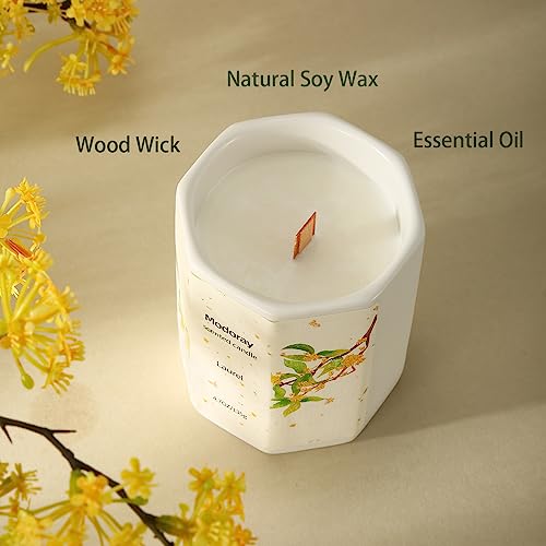 Modoray Scented Candle, Candles for Home Scented, Aromatherapy Candle，Long Lasting Natural Modoray buy supplements canada