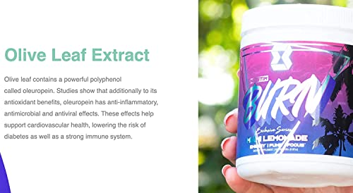 Motiv-8 Non Stim Pre-Workout, Boost Energy and Focus, Improve Workouts, Enhances Motiv-8 buy supplements canada