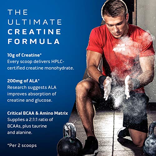 Creatine Monohydrate Powder MuscleTech Cell-Tech Creatine Powder Post Workout MuscleTech buy supplements canada
