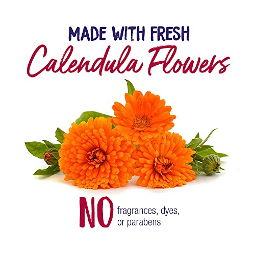 Boiron Calendula Cream for First Aid, Minor Burns, Cuts, Scrapes, Insect Bits and Sunburn - 2.5 oz Boiron buy supplements canada